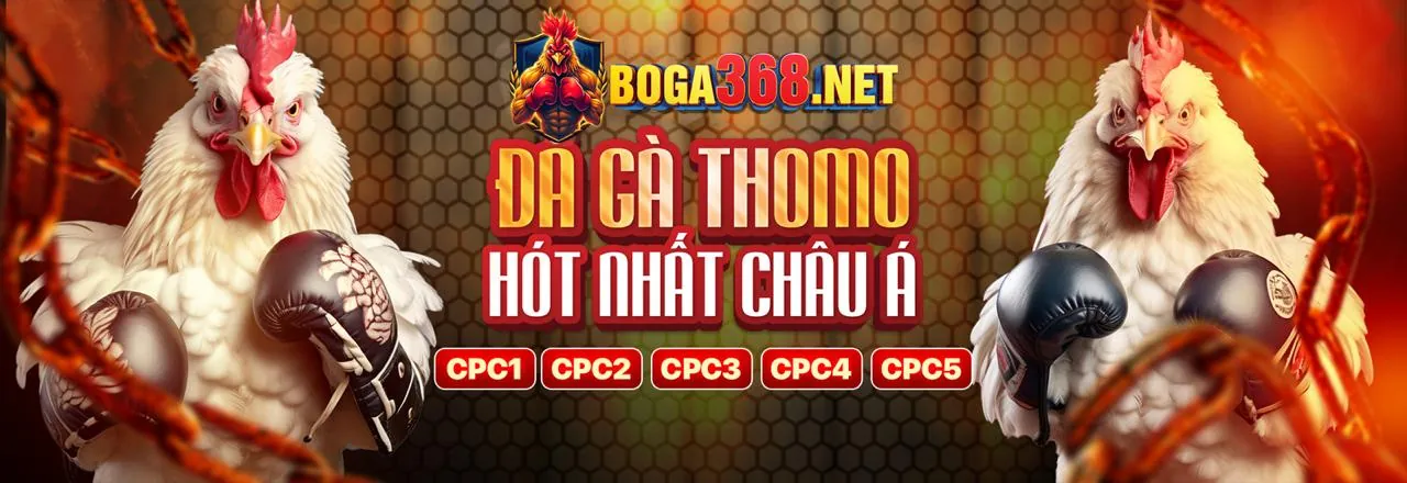 Tài liệu pháp lý và quy định của 678vip app